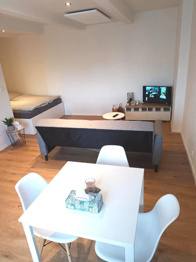 Zoo Karlovarska Apartment Plzen Bagian luar foto
