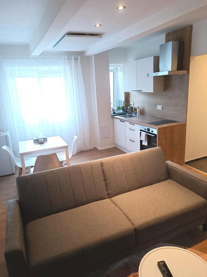Zoo Karlovarska Apartment Plzen Bagian luar foto