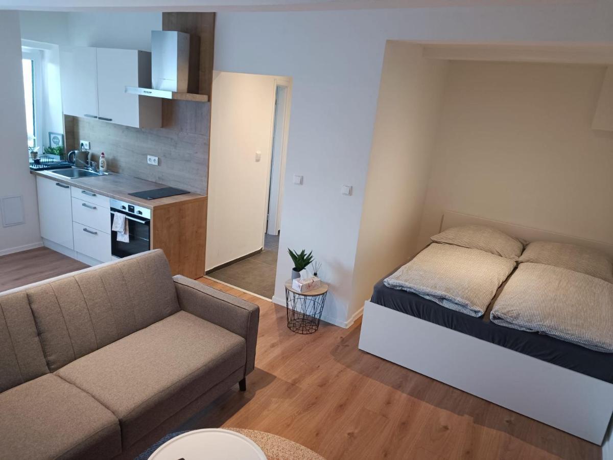 Zoo Karlovarska Apartment Plzen Bagian luar foto